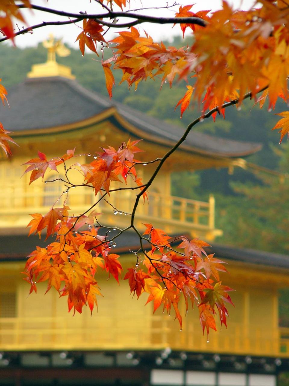 Ben'S Guesthouse Kyoto Exterior photo